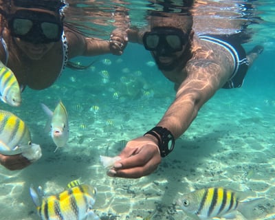 4-Beach Guided Tour of Northeast Puerto Rico