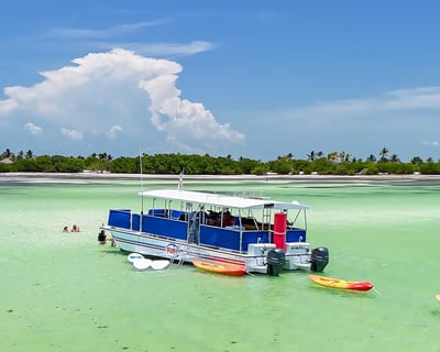 Key West 3.5-Hour Sandbar Kayak & Paddleboard Tour