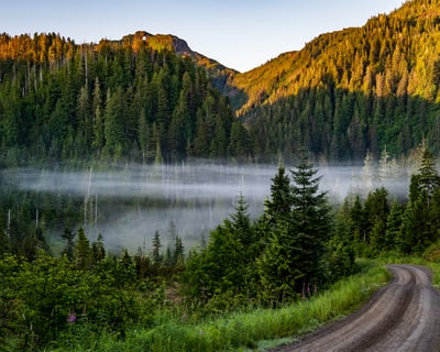Tongass National Forest 4x4 SUV Tour From Ketchikan