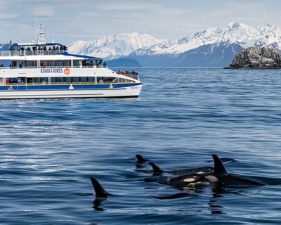Kenai Fjords National Park Glacier Cruise