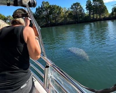 Manatee Viewing Cruise in Crystal River