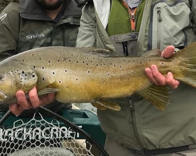 Private Wade Fishing on the Chattahoochee River