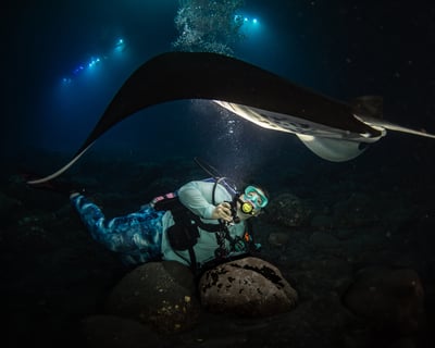 Kona Manta Ray Night Dive with Reef Exploration