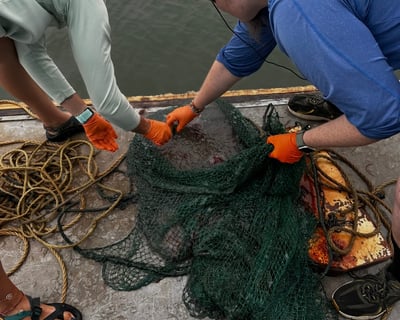 Marine Biology Cruise in Lewes