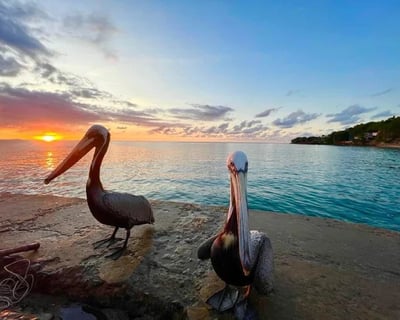 Aguadilla Sunset Boat Tour