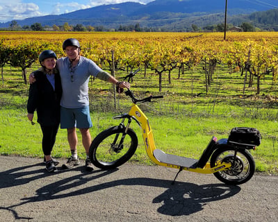 Napa Valley 3-Winery Guided Tour