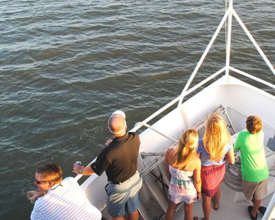 Dinner With The Dolphins Cruise