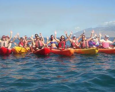 Guided Kayak Turtle Tour in Wailea