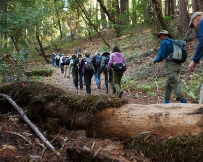 Guided Sonoma Valley Hike with Champagne Toast