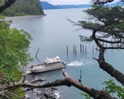 7-Hour Caines Head Kayak & Hike Tour