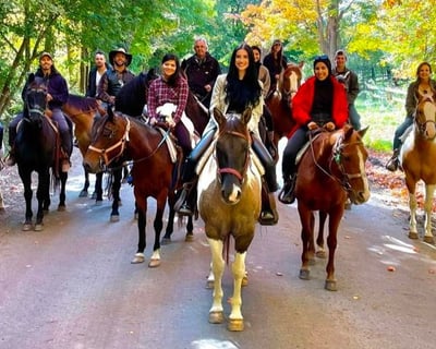 2-Hour Horseback Trail Ride in Milford