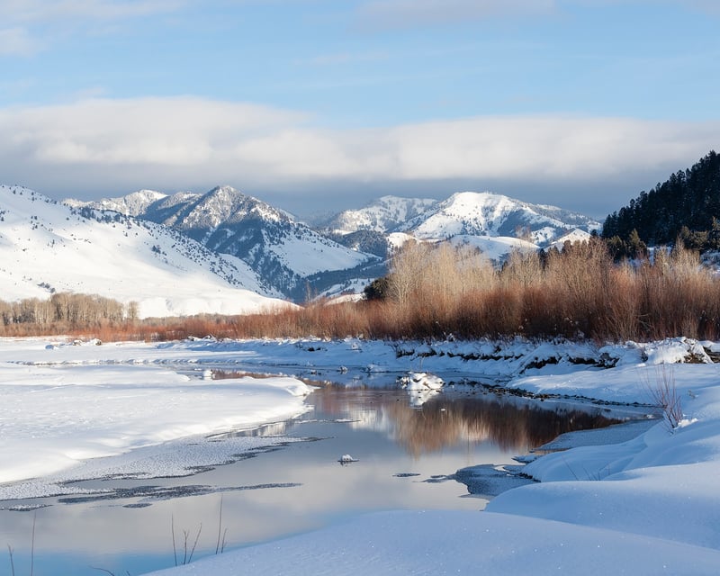 4-Hour Guided Snowshoe Tour in Jackson Hole