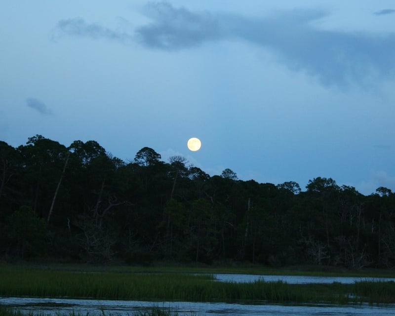 Moonlight Horseback Ride on Jekyll Island