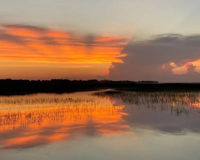 Sunrise Airboat Tour in Sanford