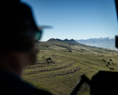 30-Minute Antelope Island Tour From Farmington