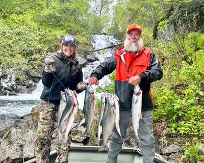 Soldotna Bear Viewing & Fishing Tour