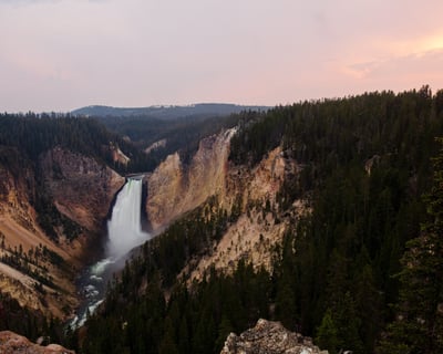Yellowstone Wildlife & Waterfalls Guided Tour