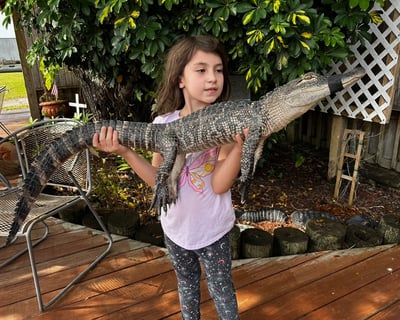 Everglades Airboat & Reptile Tour From Fort Myers