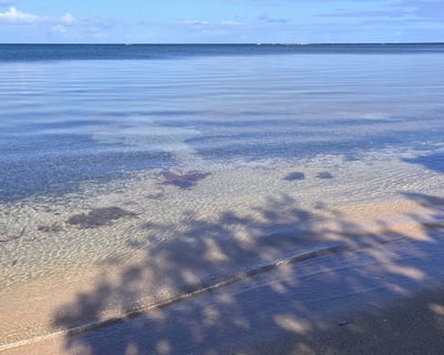 3-Hour Kayak & Snorkel Tour in Fajardo