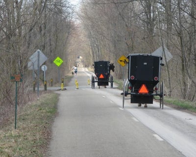 Guided Amish Backroads Tour of Holmes County