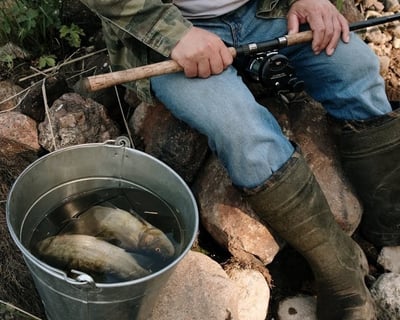 3-Hour Fishing & Sightseeing Charter in 10,000 Islands