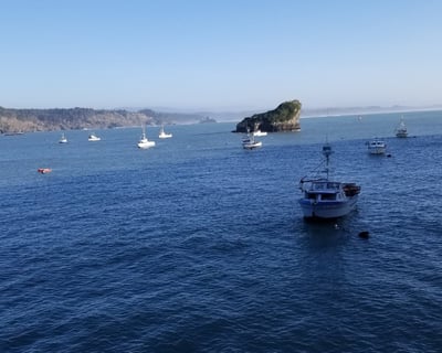 Guided Coastal Walking Tour of Trinidad