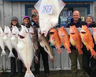 Fish a Combo Charter in Homer