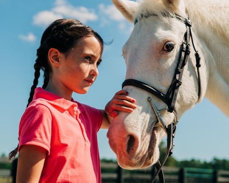 Bluffton Pony Rides for Kids