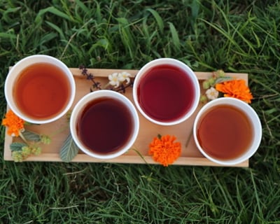 Herbal Tea and Tropical Fruit Tasting Tour