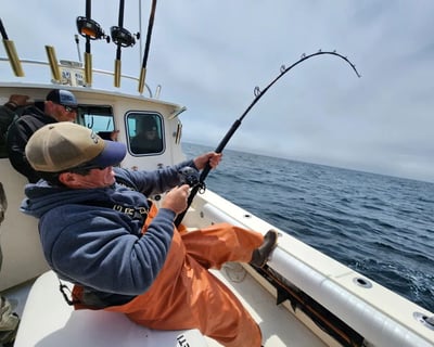 Private Bodega Bay Fishing Charter for Up to 6 Guests
