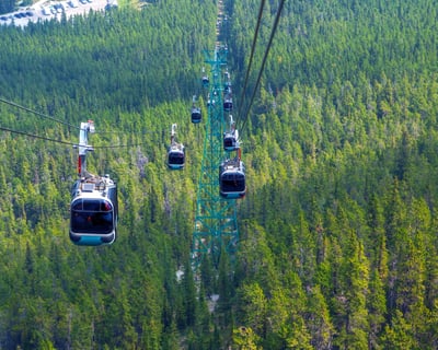 Explore Banff Highlights, Wildlife & Gondola Tour