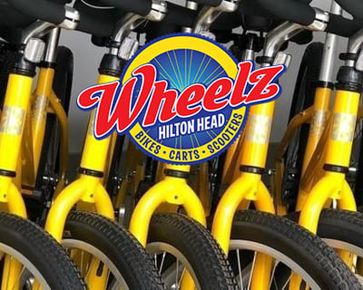 Ride a 4-Hour Bike Rental