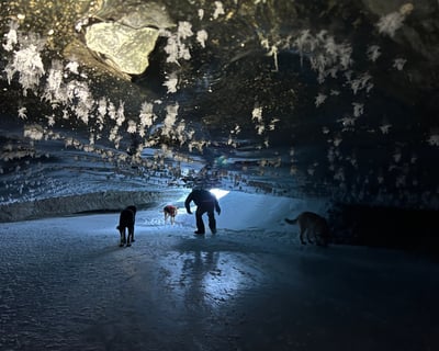 Castner Glacier Guided Day Hike