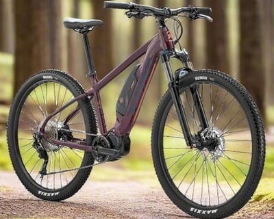 Electric Bike Rental in Port Gamble, WA