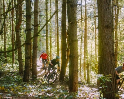 Full Day Mountain Bike Rental in Woodstock VT