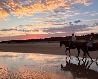 Sunset Horseback Ride on Waites Island