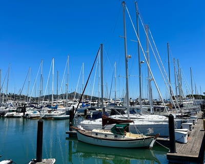 Guided Food & Wine Walking Tour in Sausalito