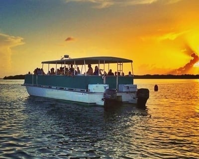 Tampa Bay Sunset Wildlife Cruise