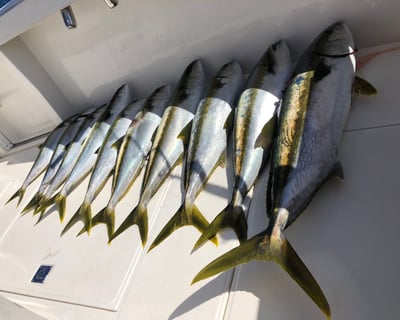 12-Hour Fishing Charter to San Clemente Island