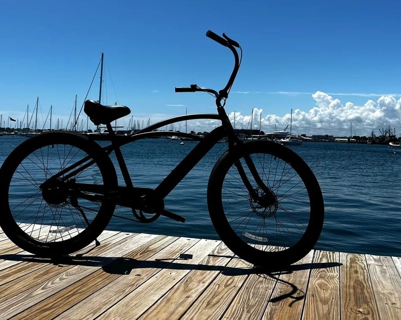 Step-Over E-Bike Rental in Newport