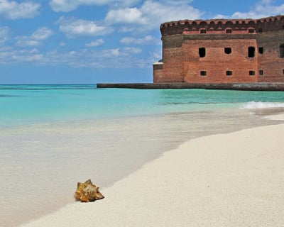 Cruise Dry Tortugas On A Private Charter From Key West