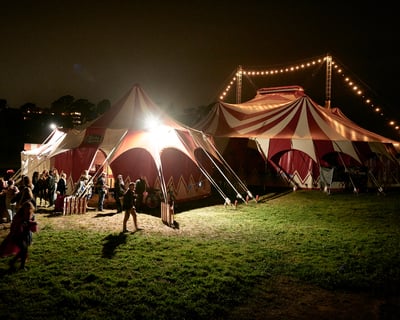 Ride the Skunk Train to a Circus Show From Willits