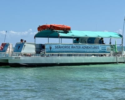 4-Hour Snorkeling Tour in Marathon