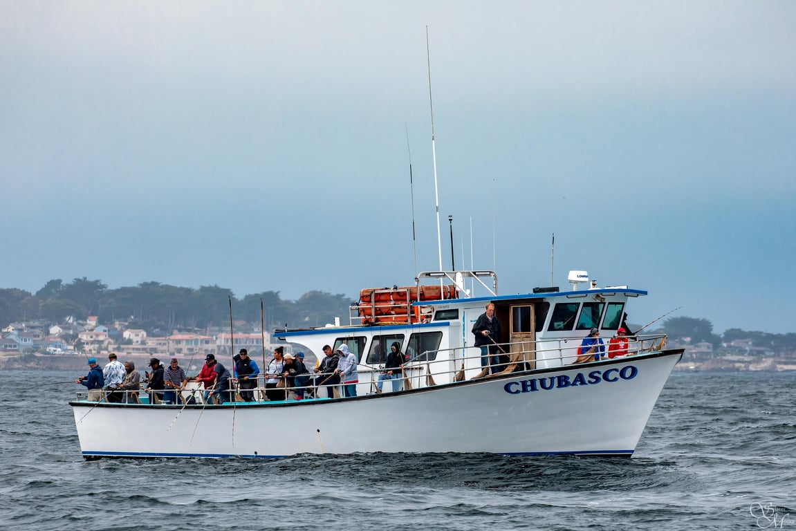 Full Day Rock Cod Fishing on Monterey Bay