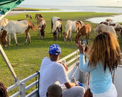 Private Cruise Along Assateague Island