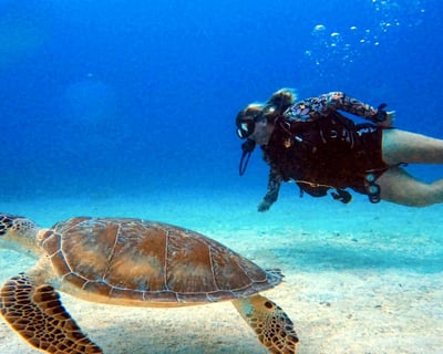 Private 2-Tank Scuba Diving Charter in Fajardo
