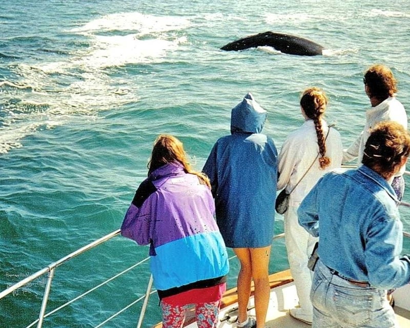Private Gray Whale Watching & Coast Tour from Portland