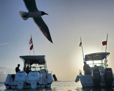 Sunset Cruise to Icacos Island