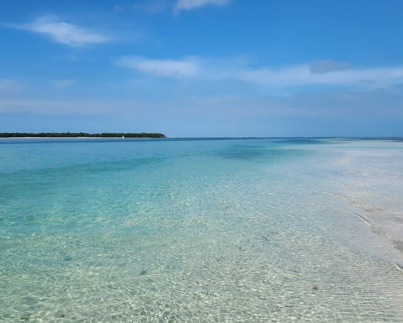 Private Sandbar Boat Charter in Key West