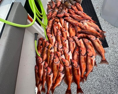 Deep Sea Rockfish Fishing Charter in Santa Cruz